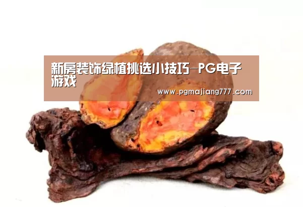 新房装饰绿植挑选小技巧-PG电子游戏(图2) PG麻将官网