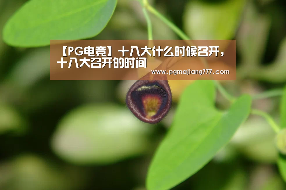 【PG电竞】十八大什么时候召开,十八大召开的时间(图2) PG麻将官网