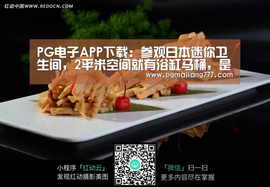 PG电子游戏