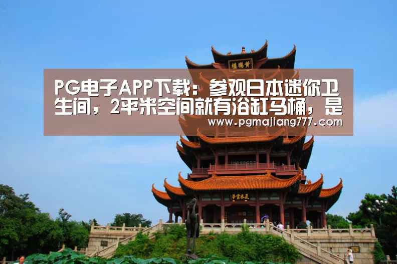 PG电子游戏