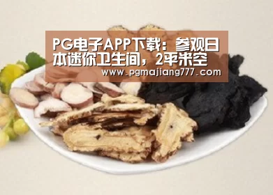PG麻将官网