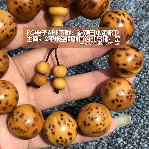 PG麻将官网