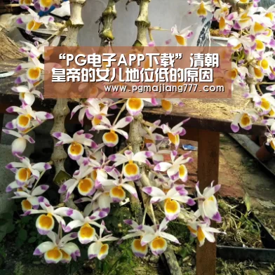 “PG电子APP下载”清朝皇帝的女儿地位低的原因(图3) PG电子APP下载