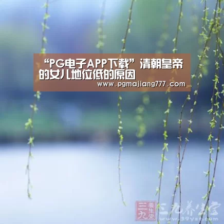 “PG电子APP下载”清朝皇帝的女儿地位低的原因(图2) PG麻将官网