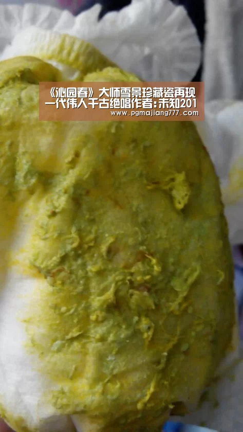 PG电子游戏