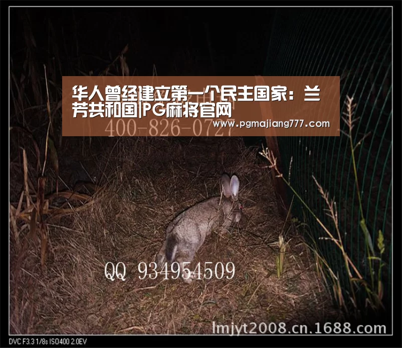 PG麻将官网