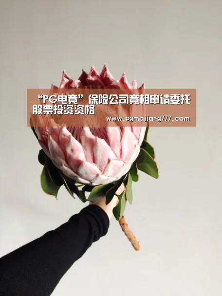 “PG电竞”保险公司竞相申请委托股票投资资格(图3) PG电子APP下载