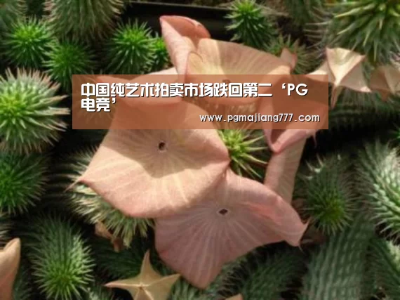 PG电竞