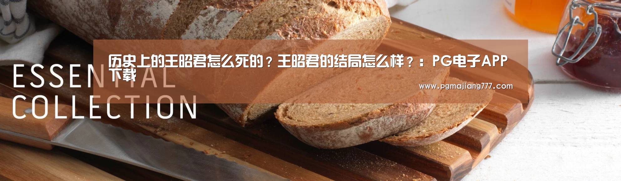 历史上的王昭君怎么死的?王昭君的结局怎么样?:PG电子APP下载(图3) PG电竞