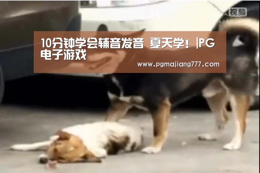 PG电竞